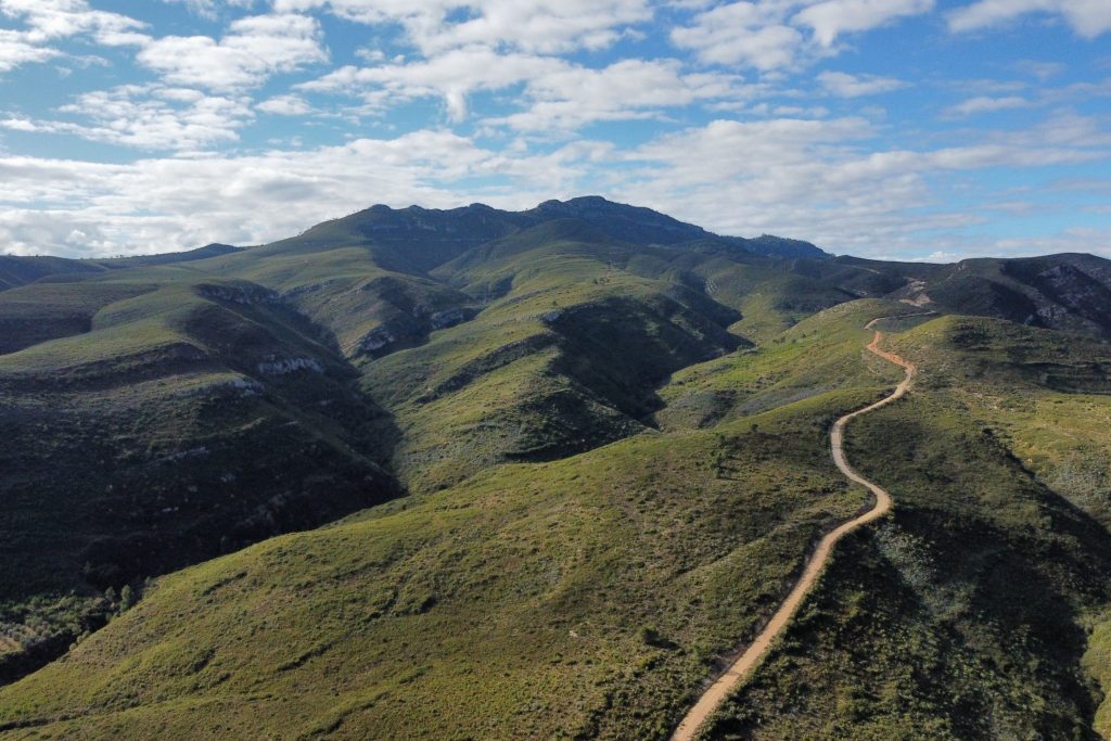 5383FF2F-2B07-4A88-A51B-13D33FE43260-scaled