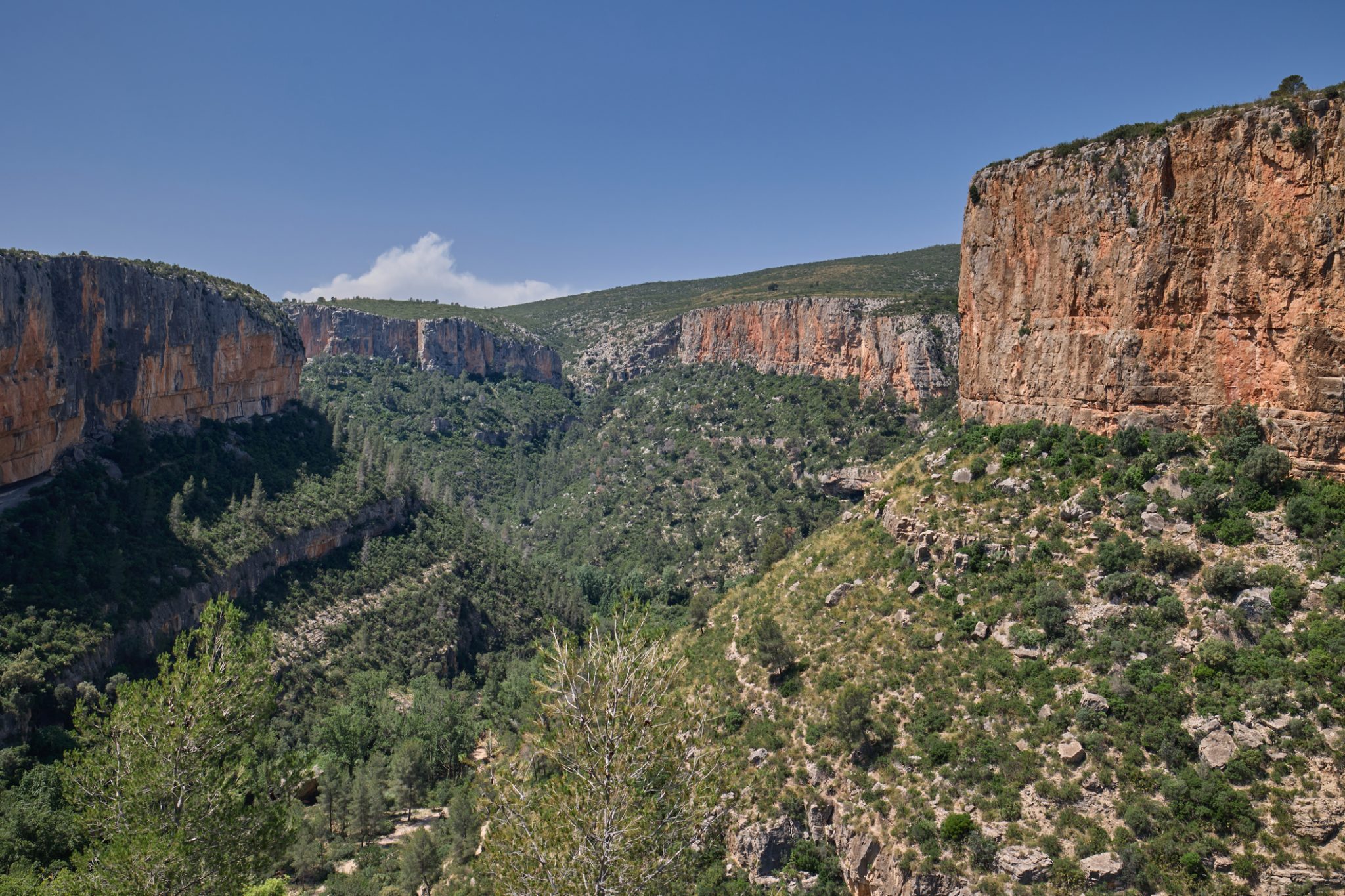 CAÑON TURIA